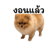 859484181