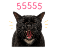 859484323