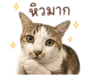 859484328