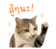 859484337