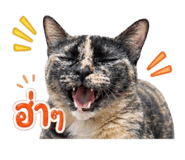 859485170