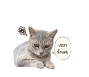 859485482