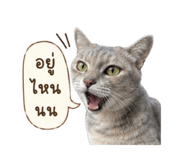859485490