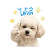 859485881