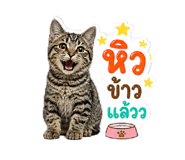 859486032