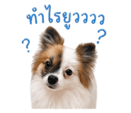 859487453