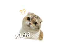 859487930