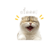 859487932