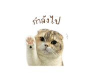 859487949