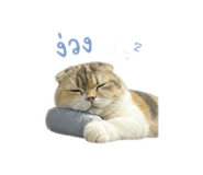 859487955