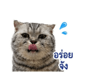 859488413