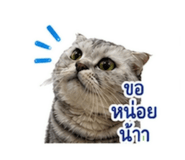 859488424