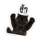 859489534