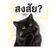 859489536