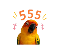 859495909