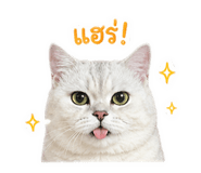859497056