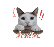 859499990