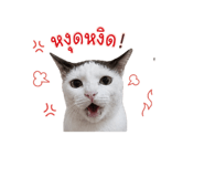 859499995