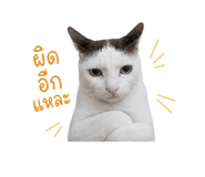 859499999