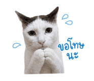 859500000