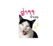 859500139