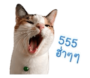 859500185