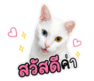 859500729
