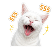 859500737