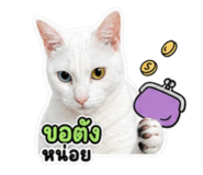 859500744
