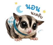 859500995