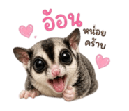 859500997