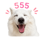 859501506