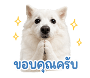 859501508