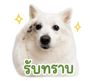 859501517