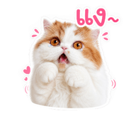 859502655