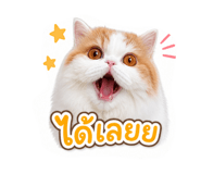 859502659