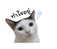 859502665