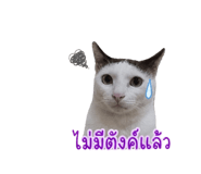 859502668