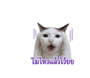 859502676