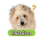 859502939