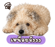 859502941