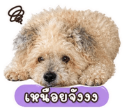 859503136