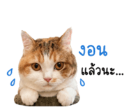 859503173
