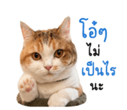 859503180