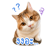 859503181