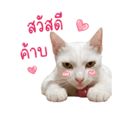 859503434