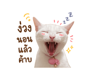 859503437