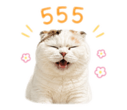859504161