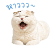 859504167