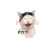 859504347